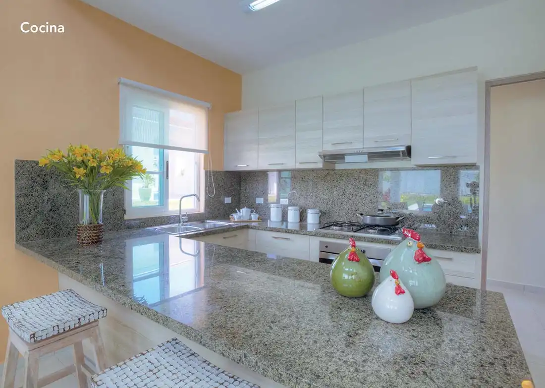 bijao panama for sale kitchen