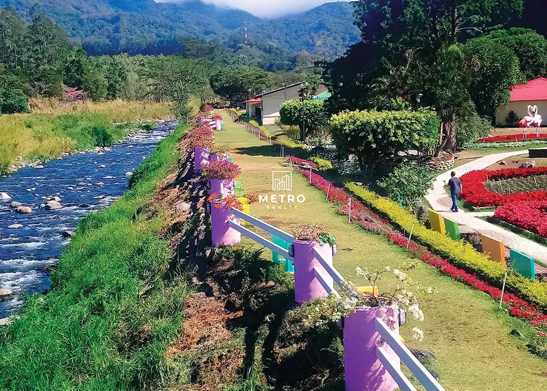 apartments in boquete panama road