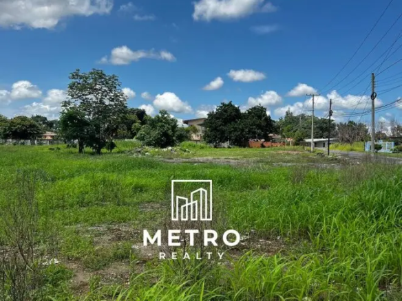 david chiriqui panama real estate land grass view