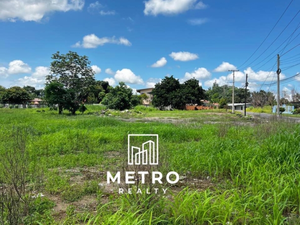 david chiriqui panama real estate land grass view