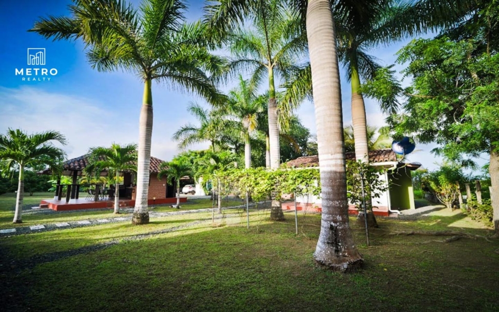 pedasi los santos panama beautiful green area