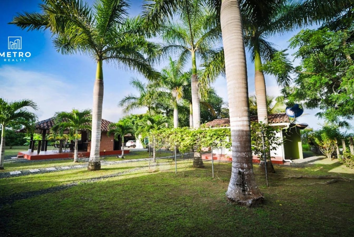 pedasi los santos panama beautiful green area