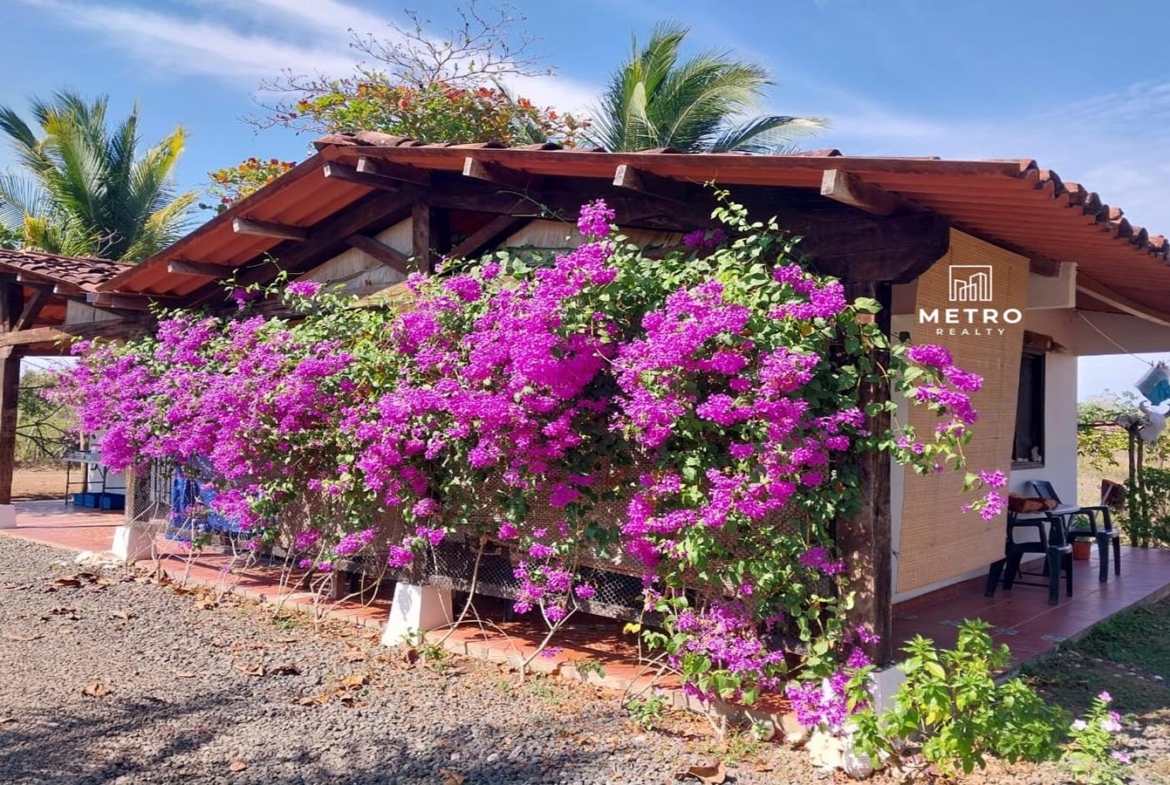 pedasi los santos panama beautiful house with flowers