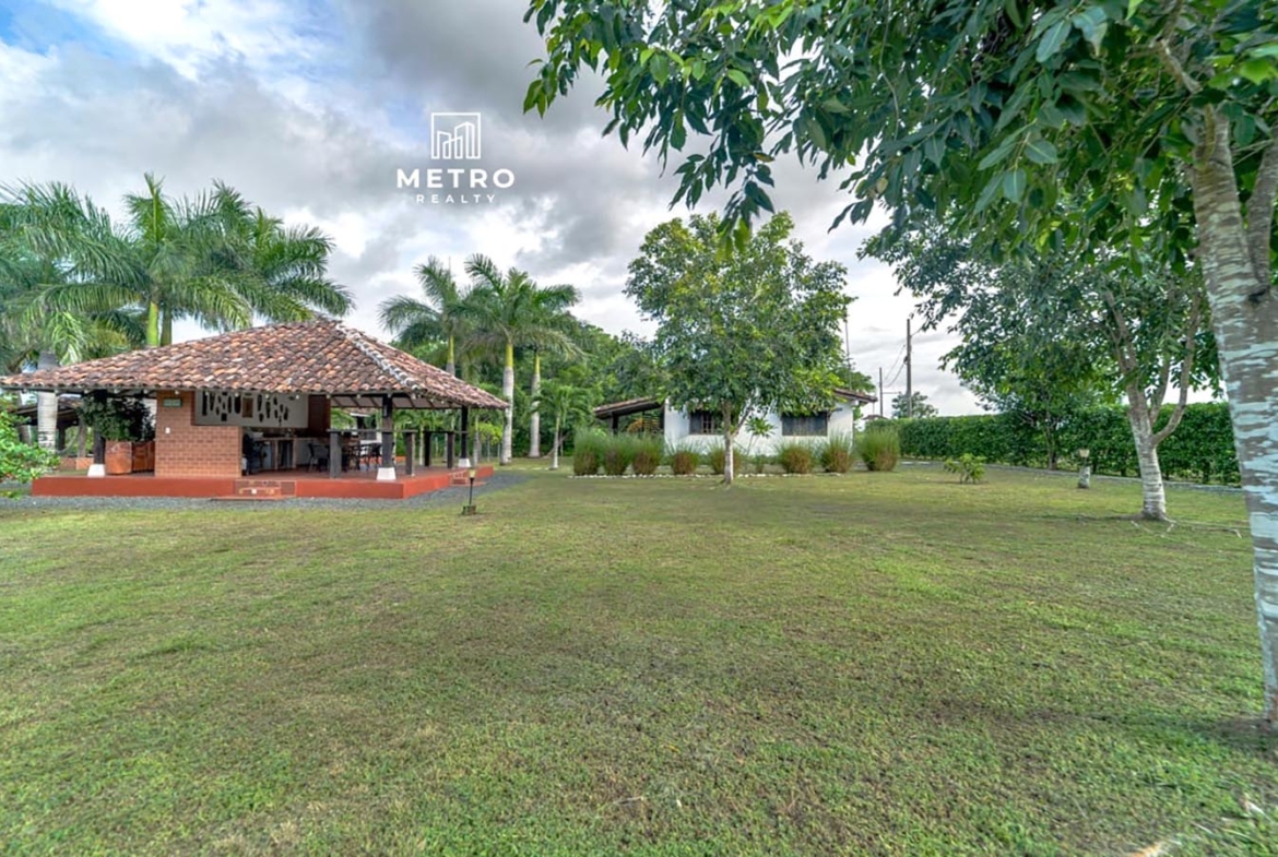 pedasi los santos panama field view