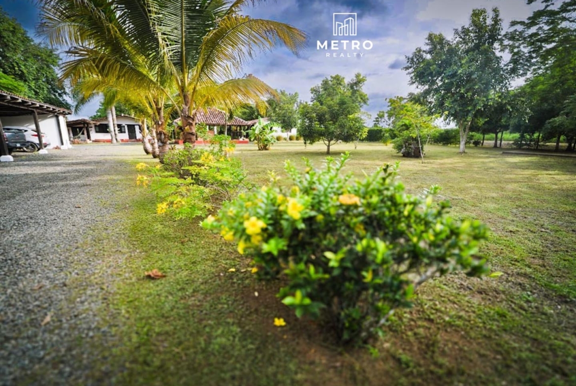 pedasi los santos panama incredible garden