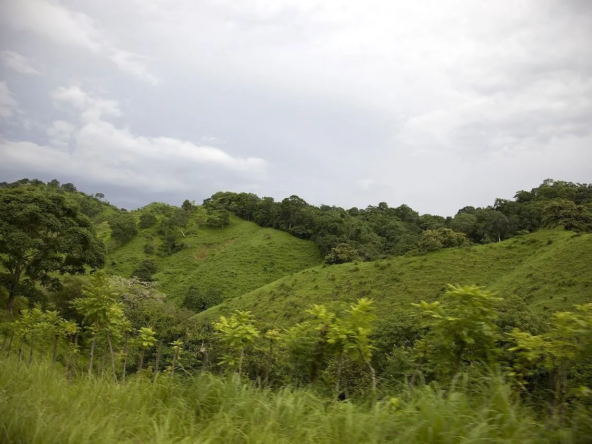 Boquete Panama lush jungles