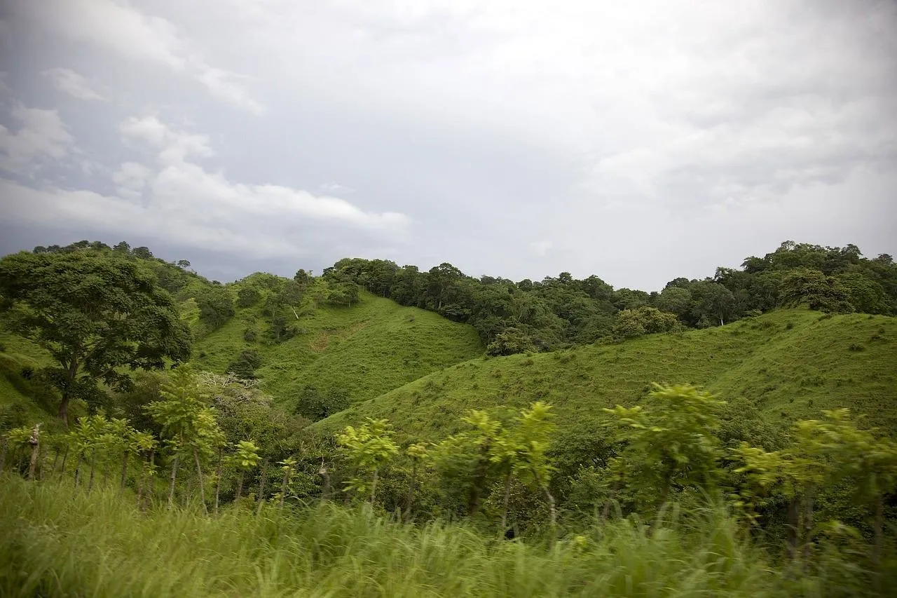 Boquete Panama lush jungles